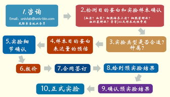 優寧維公司重磅推出抗體相關實驗技術服務體系，助力科研精準高效